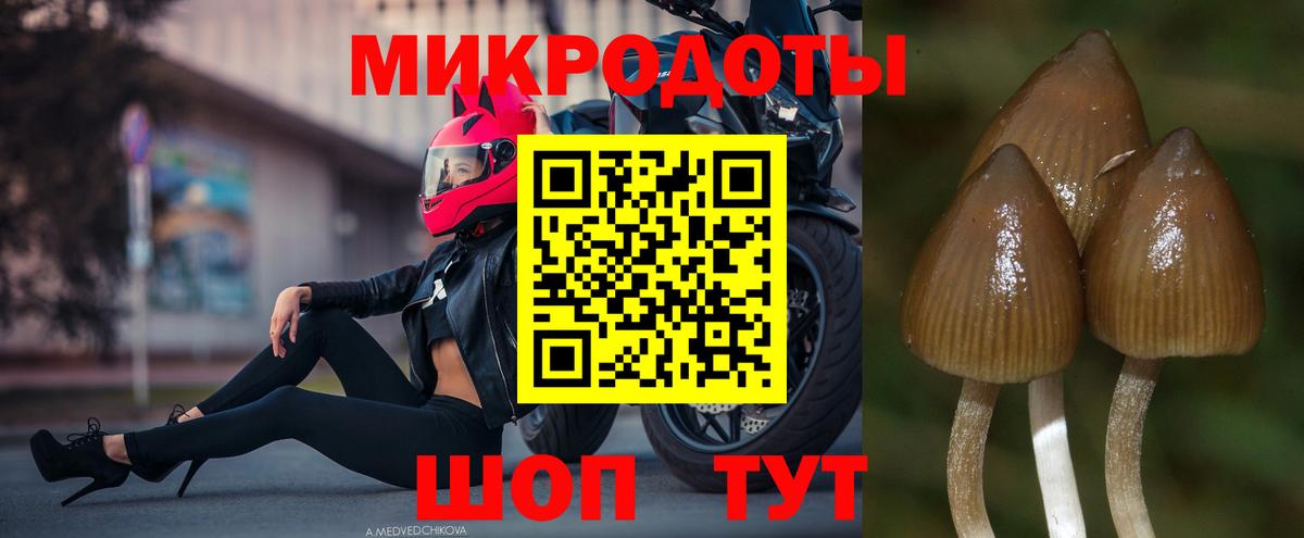 Псилоцибиновые грибы Psilocybine cubensis  Вход с VPN  Галлюциногенные грибы ЛСД  Сокол 