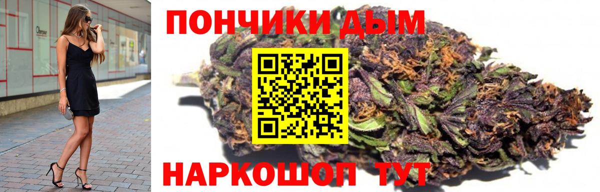 Каннабис конопля Сокол